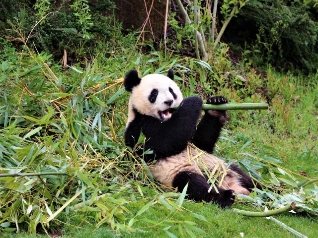 Meilleurs Locations de Vacances Proche Zoo de Beauval