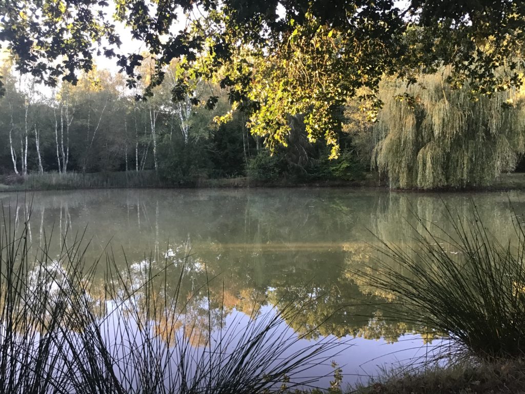 Chambres d'Hôtes - Ferme Boisquillon En Sologne - Maisons Passions