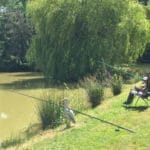 Chambres d'Hôtes - Ferme Boisquillon En Sologne - Maisons Passions