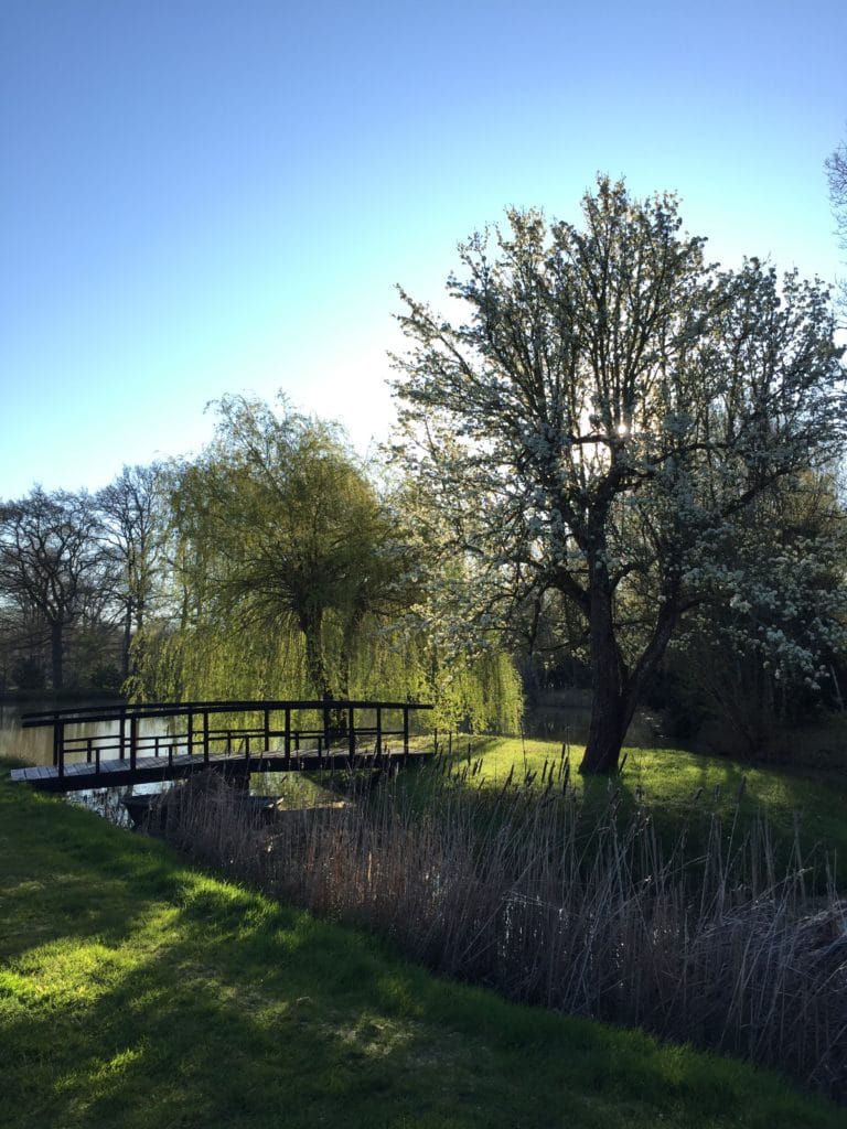 Chambres d'Hôtes - Ferme Boisquillon En Sologne - Maisons Passions